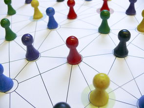 爱游戏下载-中国篮球青训教练员能力提升路径，篮球青训师的待遇怎么样