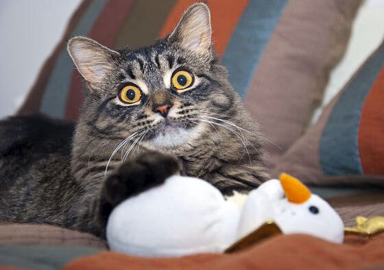 爱游戏app注册-体育赛事风险评估与控制措施，体育赛事风险评估与控制措施包括