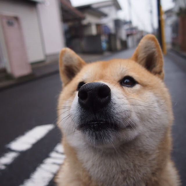 体育赛事风险评估与控制措施,体育赛事风险评估与控制措施包括