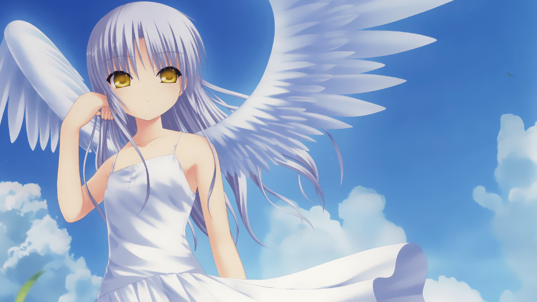 山西龙狮注重防守细节建立稳固阵地，龙狮基地