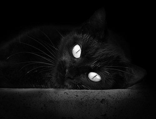 青少年棒球联赛拓展至西部地区，2021年青少年棒球比赛计划