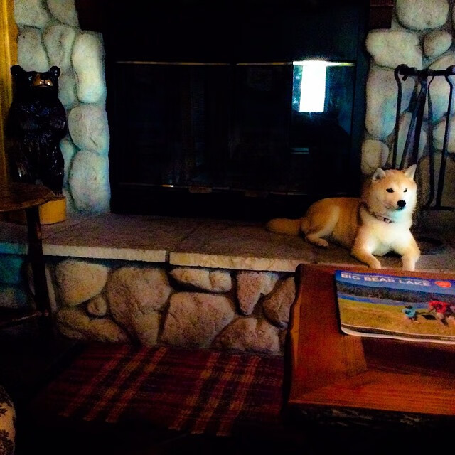 尤文图斯引入强力中场，增强中场控制力