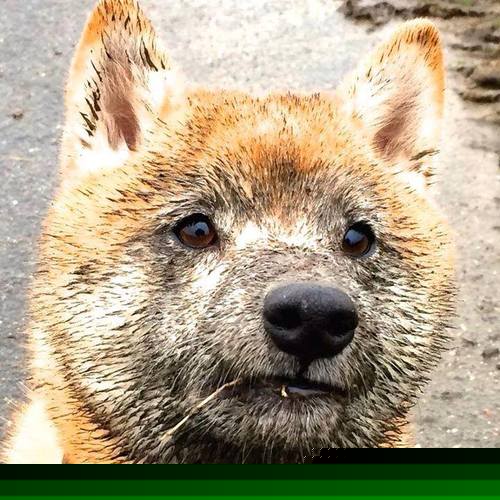 李恩：全黑队的“攻防一体”，无论是防守还是进攻，他都表现出色