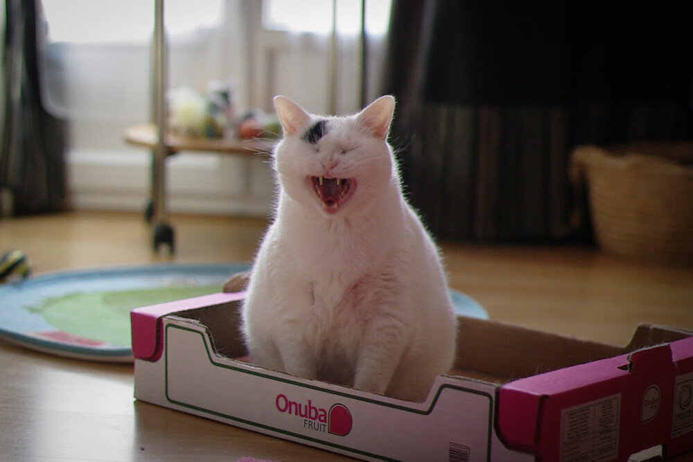 爱游戏体育-篮球教练员资格认证体系逐步完善提升教练队伍专业水平，篮球教练员证书