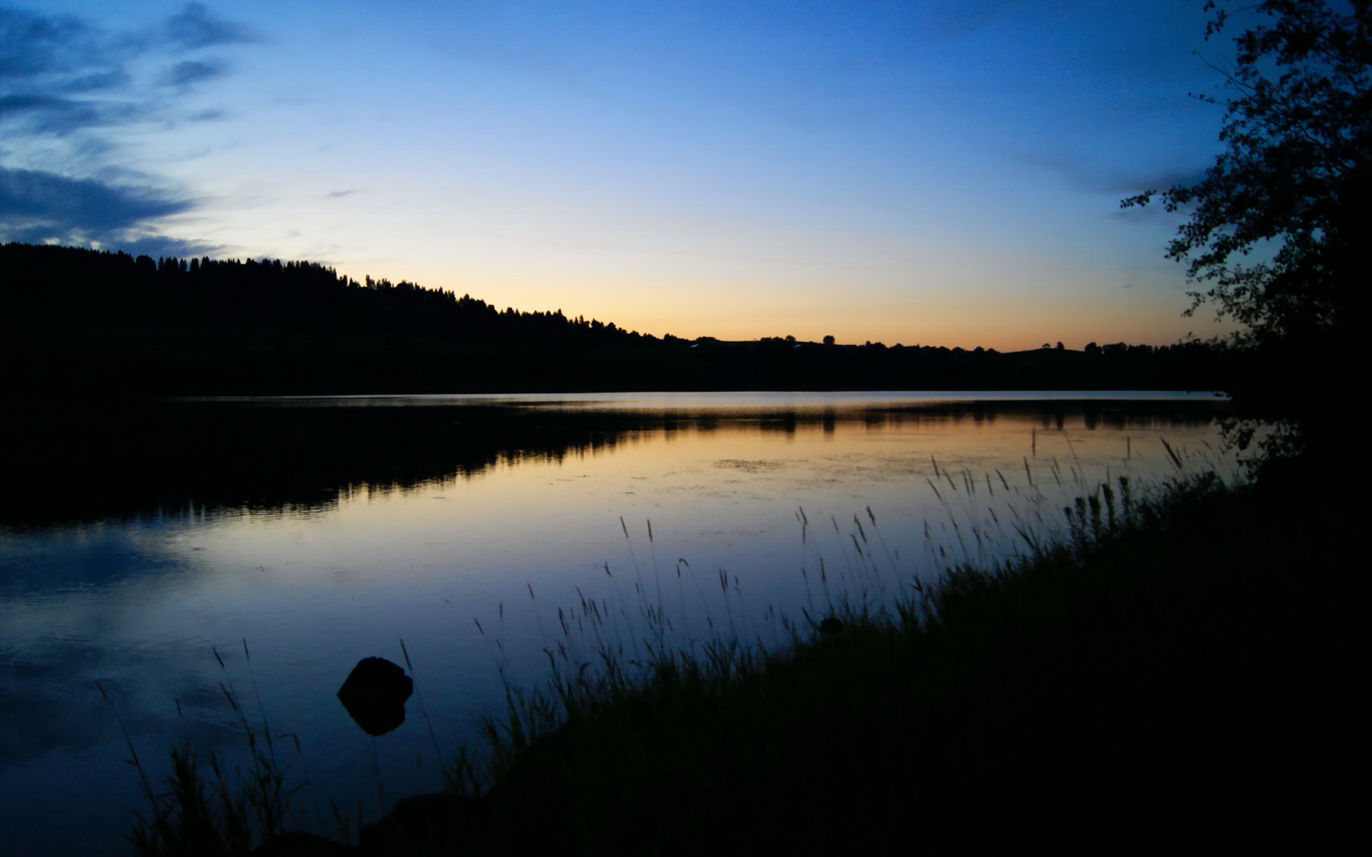 爱游戏体育app-美洲杯激情夜：个人英雄主义的完美展现，美洲美洲杯