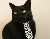 美洲杯狂热赛场：个人能力与teamwork的完美融合，美洲杯比赛分析