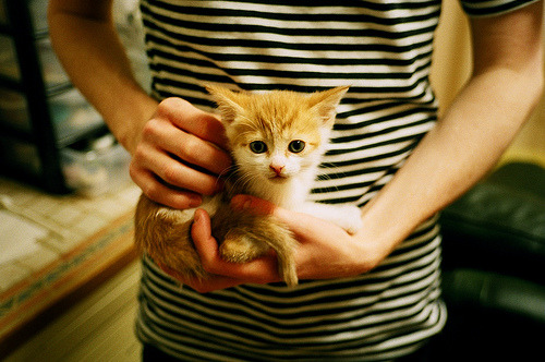 爱游戏平台-非洲锦标赛高悬奖金牌，南非队和尼日利亚队实力对抗，非洲杯尼日利亚直播